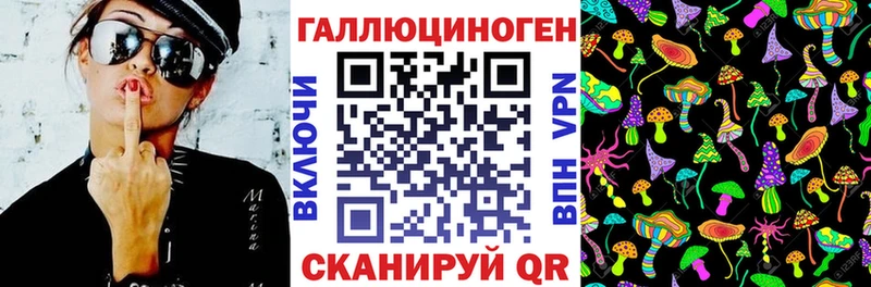 Купить где  Заволжск  Псилоцибиновые грибы Psilocybine cubensis 
