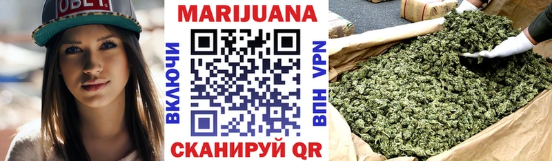 Купить где  Заволжск  Канабис SATIVA & INDICA 